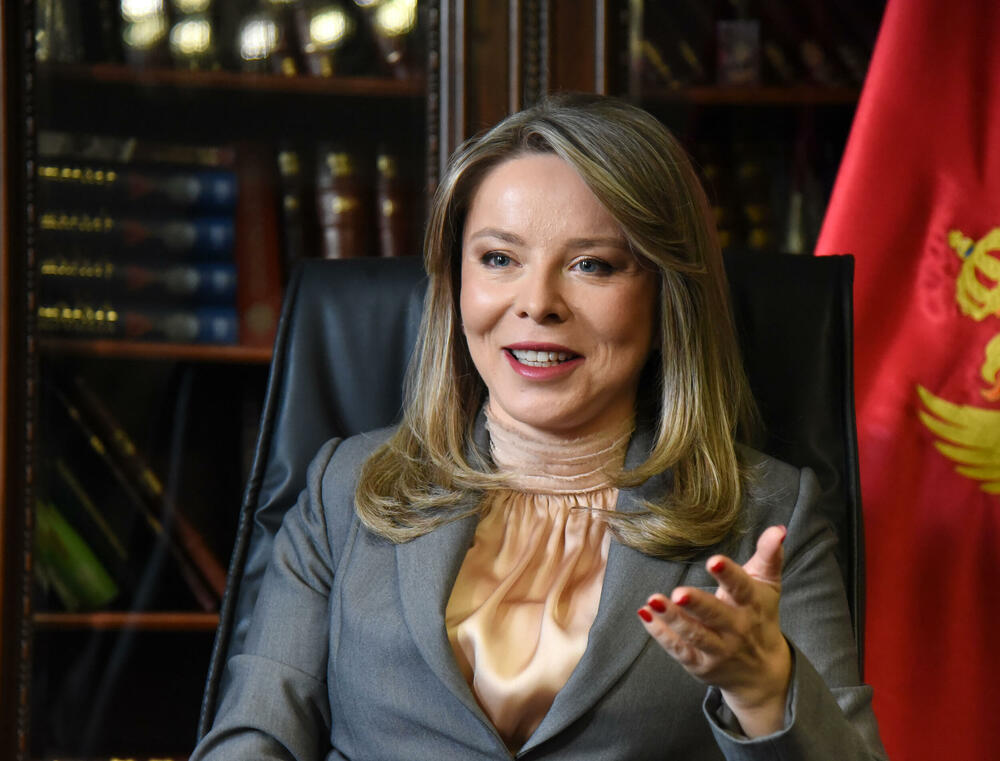 Radović: Koristi za građane i preduzeća i prije samog pristupanja...