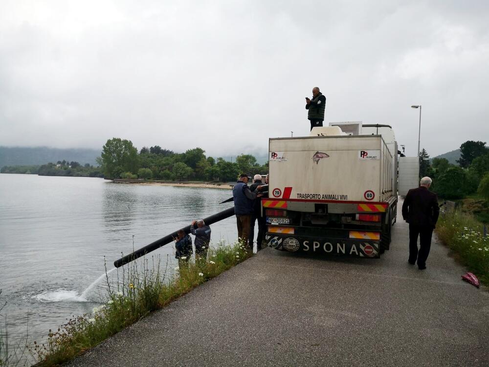 <p>Na snazi je ribolovni zabran koji je počeo 1. maja i traje do 15. juna</p>