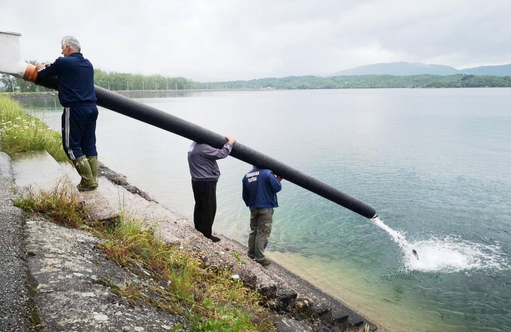 <p>Na snazi je ribolovni zabran koji je počeo 1. maja i traje do 15. juna</p>