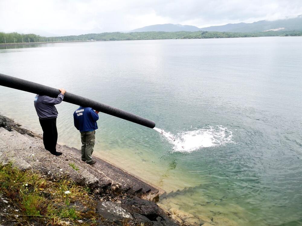 <p>Na snazi je ribolovni zabran koji je počeo 1. maja i traje do 15. juna</p>