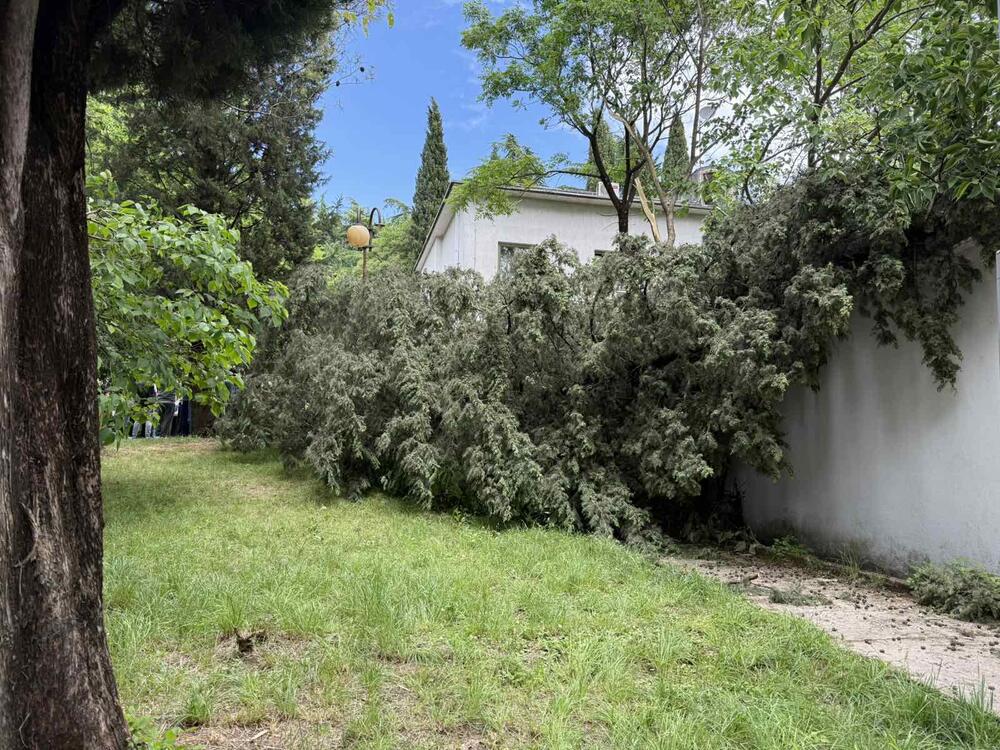 <p>Jedan od stanara Vuk Pejović kazao je da će mještani, "ukoliko država ne reaguje", morati da "zapnu na noćne straže"</p>
