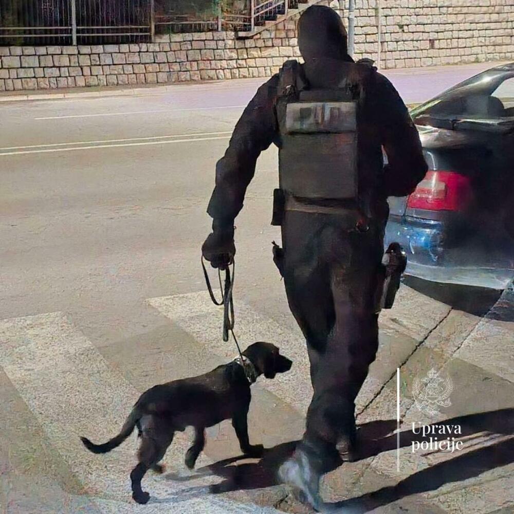 <p>"Pojačano prisustvo službenika policije ima za cilj kontrolu operativno interesantnih lica, prevenciju i suzbijanje svih oblika kriminala, kao i očuvanje javnog reda i mira", ističe se u saopštenju</p>