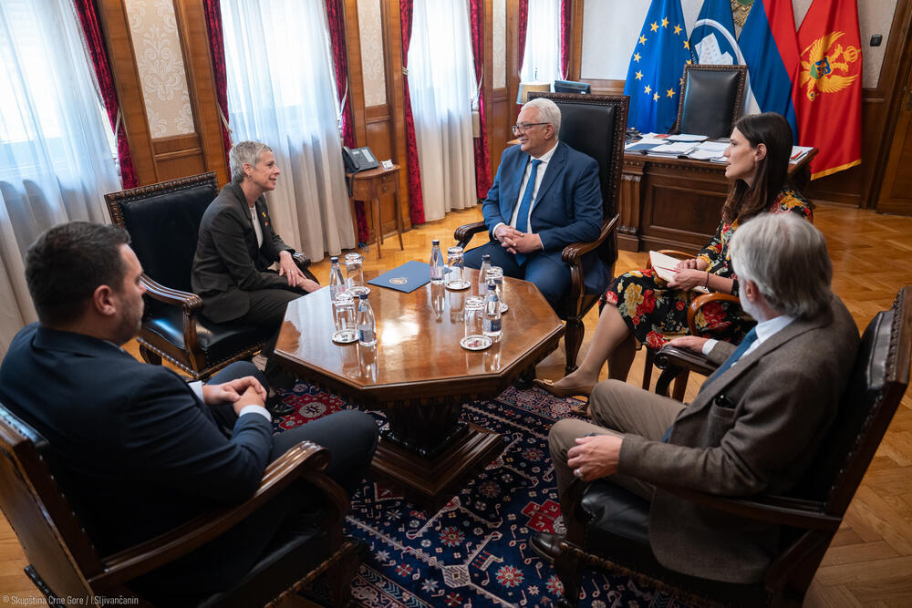 Mandić i ambasadorka Izraela