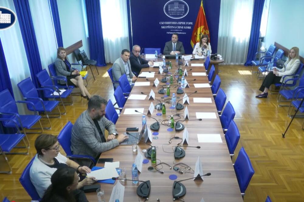 Sa sjednice, Foto: Skupština Crne Gore/Youtube