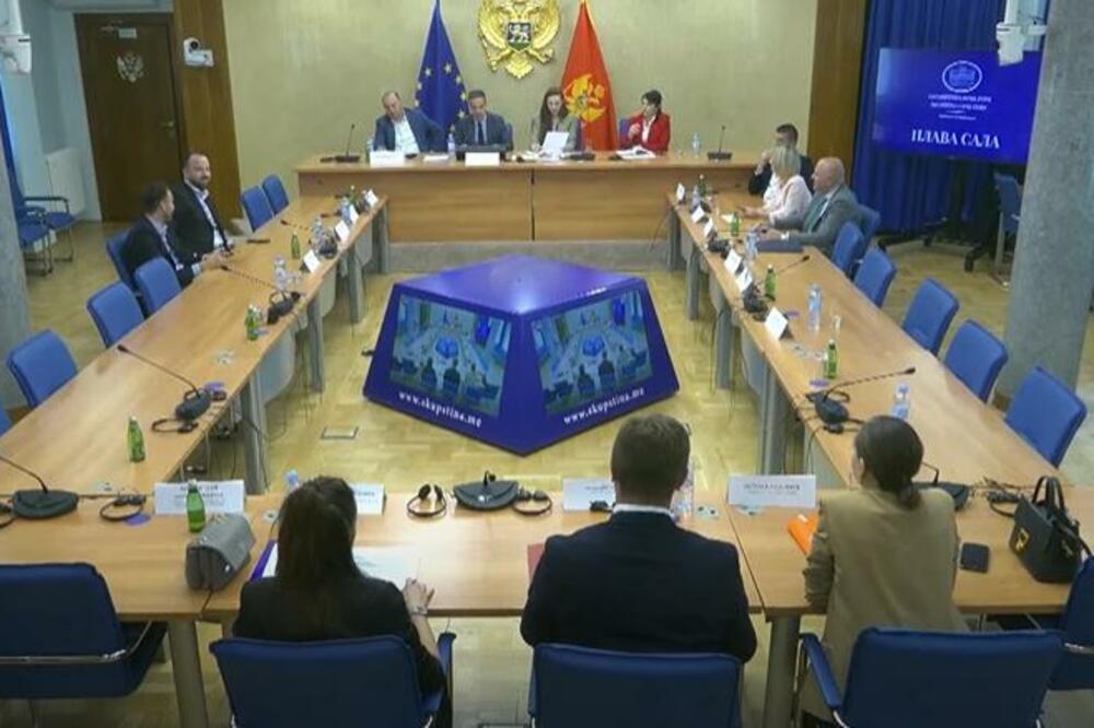 Foto: Skupština Crne Gore/Youtube