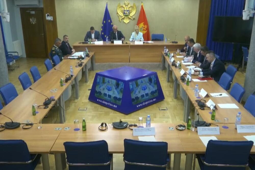 Foto: Skupština Crne Gore/Youtube