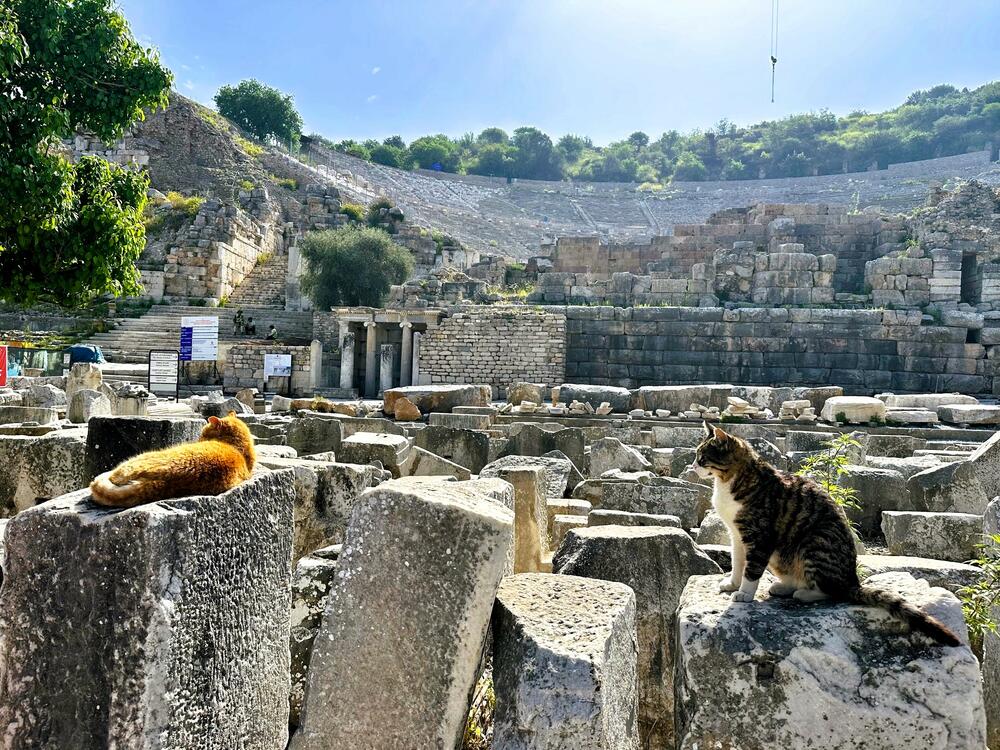 Veliki antički teatar u Efesu