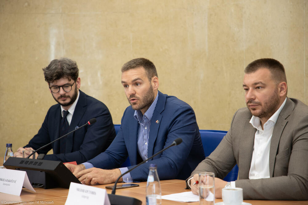 Opet zapelo zbog Šavnika: kopredsjedavajući  Odbora Vasilije Čarapić (PES) i Nikola Rakočevič (DPS), Foto: igor sljivancanin