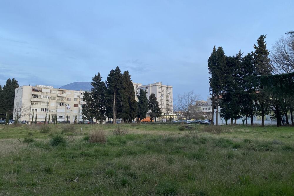 Humanitarnu akciju organizuju gimnazijalci: Gimnazija u Baru, Foto: Marija Pešić