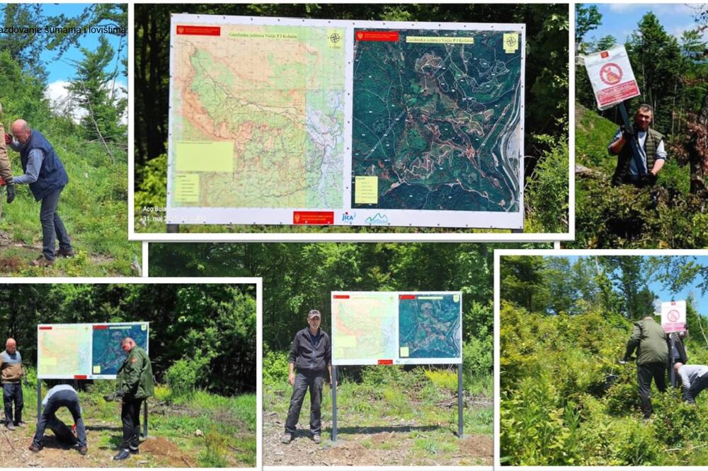 Foto: Uprava za gazdovanje šumama i lovištima Crne Gore