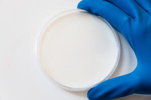 Da li odrasli treba da piju majčino mlijeko