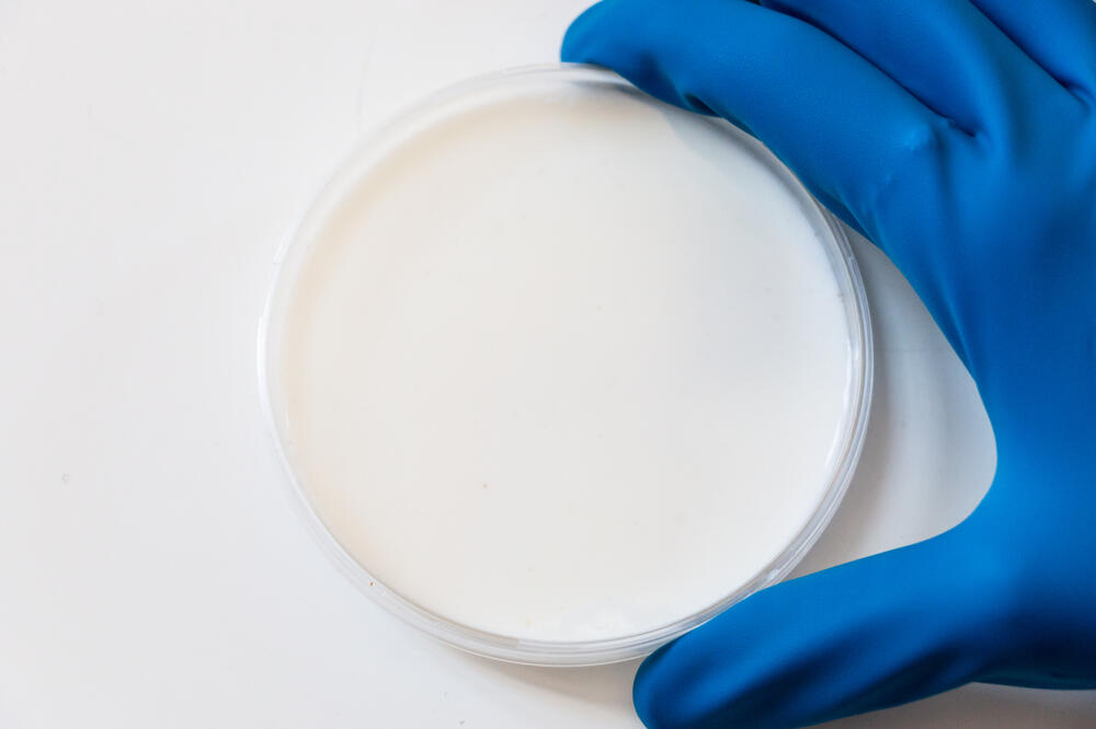 Ilustracija, Foto: Shutterstock