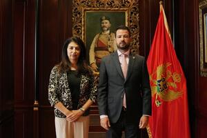 Milatović: Pokazati punu odlučnost da se otkriju izvršioci i...