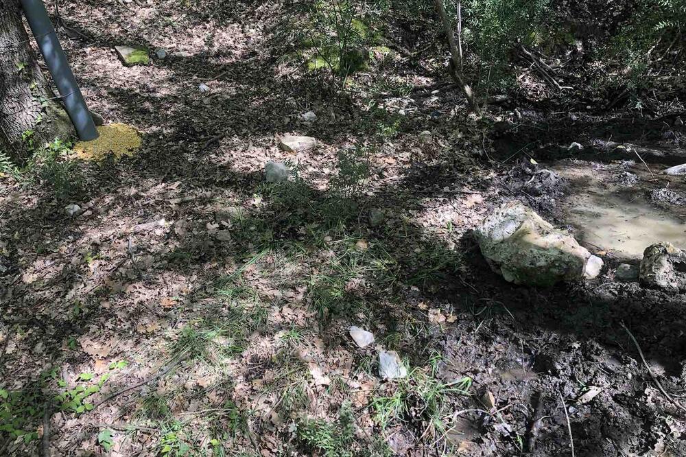 Hranilica za divljač, Foto: JP za uzgoj i zaštitu divljači