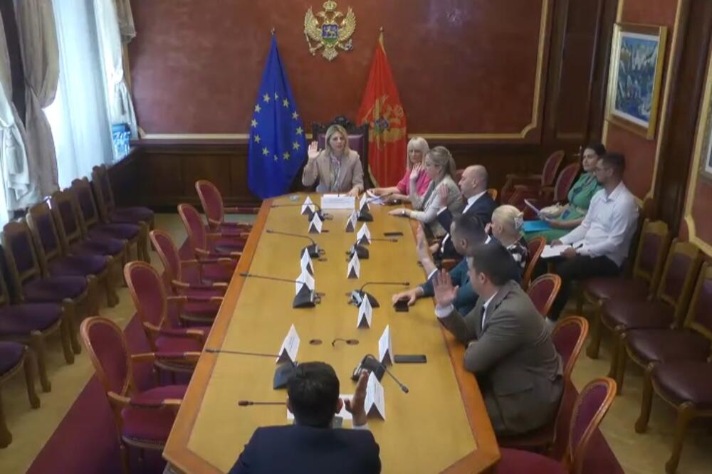 Foto: Skupština Crne Gore/Youtube
