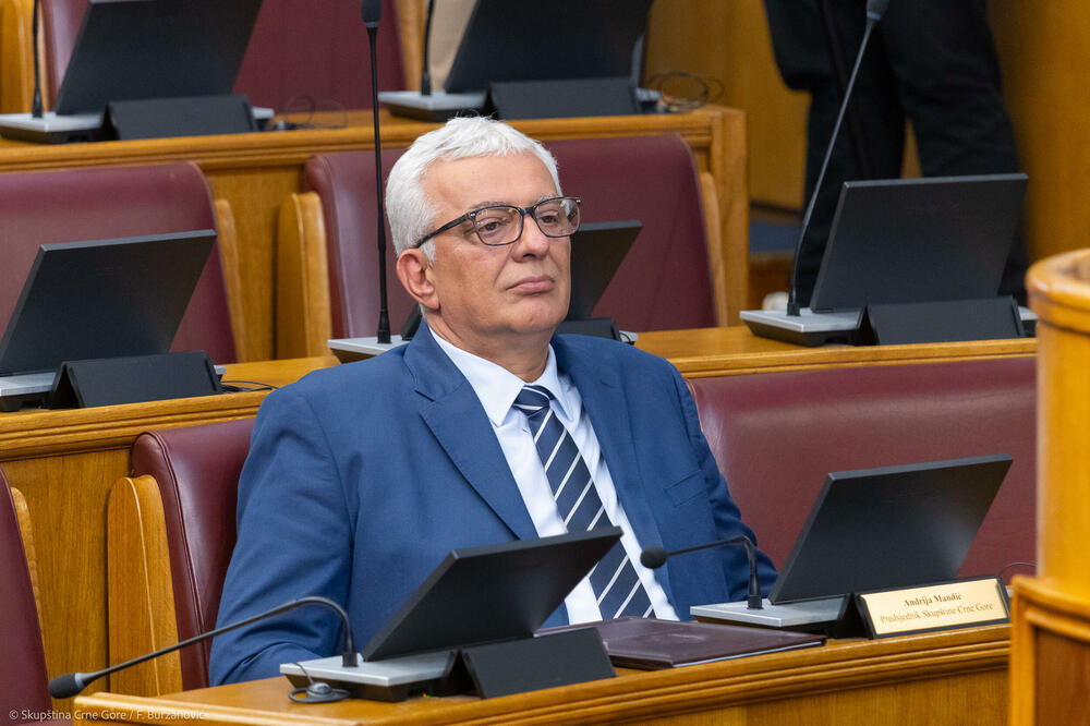 “Moramo da se držimo jedni drugih”: Mandić, Foto: Skupština Crne Gore