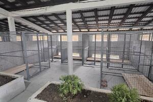 Azil danas otvaraju u Dobrinju: Nakon više decenija biće rješen...