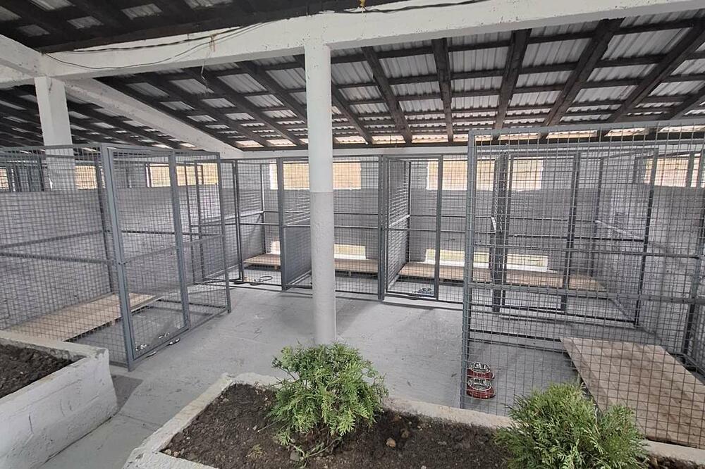 Azil za pse, Foto: Privatna arhiva