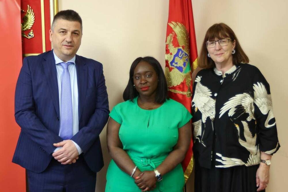 Novović, Opong-Asare i Meken, Foto: SDT