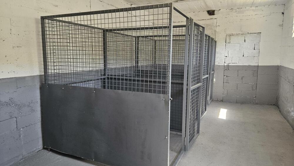 azil, sklonište za napuštene pse