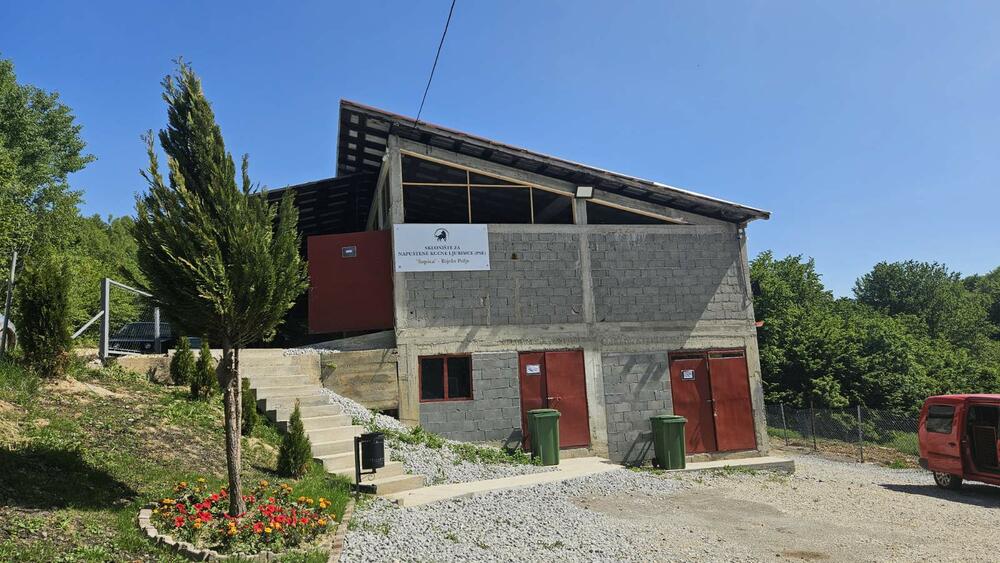 azil, sklonište za napuštene pse