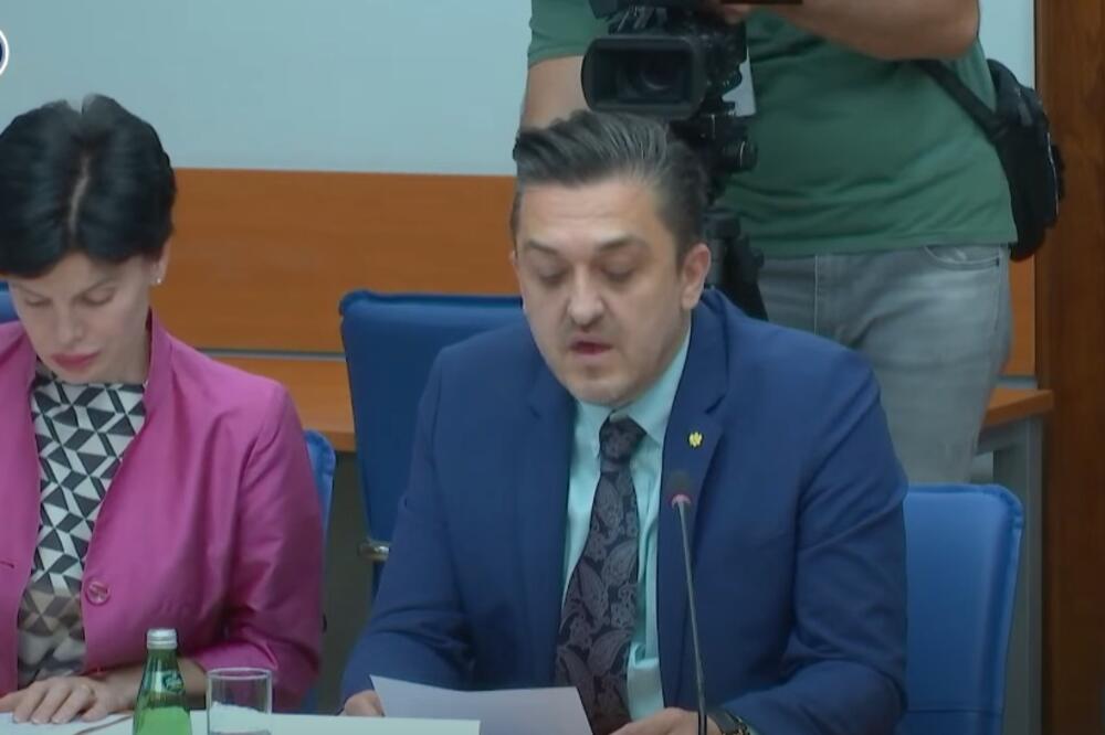 Vuković govori na sjednici odbora, Foto: Printscreen/Youtube/Skupština Crne Gore