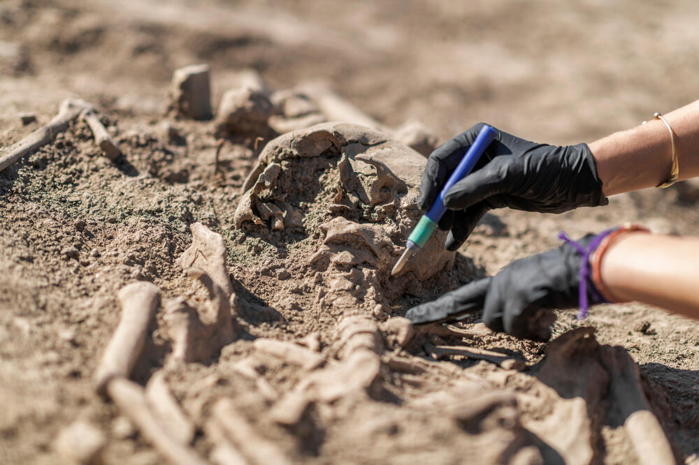 Ilustracija, Foto: Shutterstock