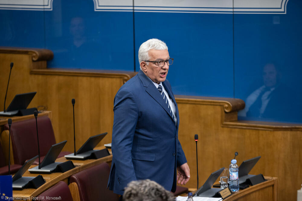 Mandić u Skupštini, Foto: Skupština Crne Gore