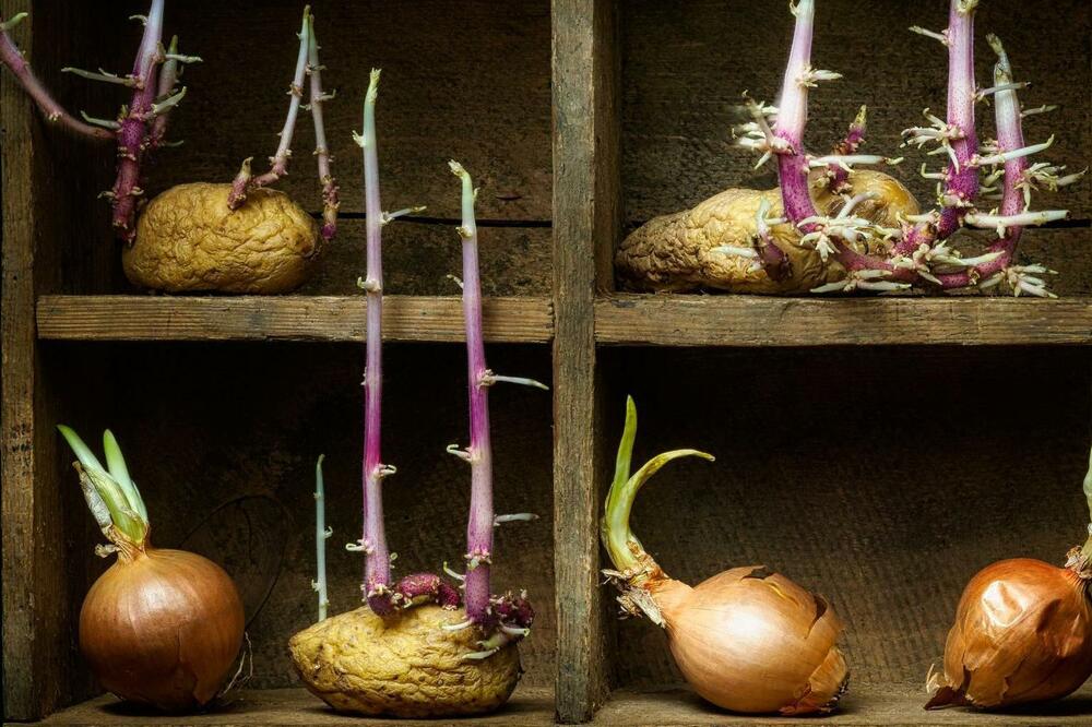 Ilustracija, Foto: Getty Images