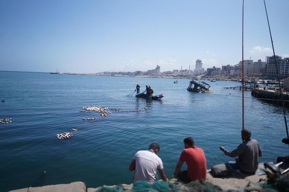 <p>Dok zvanični Izrael procjenjuje da je najmanje polovina, od više od 50.000 stradalih u Gazi, povezana s Hamasom, palestinski novinar Hamed Sbeata poručuje da ta država ratuje protiv civila...</p>  <p>Portparol vojske Izraela odbacuje optužbe za genocid, navodeći da je odnos između broja civila i ubijenih boraca Hamasa “najniži u istoriji ratovanja”</p>  <p>Reporter “Vijesti” čuo granatiranje Gaze, dok je intervjuisao djevojku koja je preživjela napad Hamasa...</p>