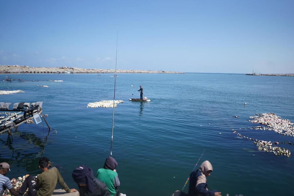 <p>Dok zvanični Izrael procjenjuje da je najmanje polovina, od više od 50.000 stradalih u Gazi, povezana s Hamasom, palestinski novinar Hamed Sbeata poručuje da ta država ratuje protiv civila...</p>  <p>Portparol vojske Izraela odbacuje optužbe za genocid, navodeći da je odnos između broja civila i ubijenih boraca Hamasa “najniži u istoriji ratovanja”</p>  <p>Reporter “Vijesti” čuo granatiranje Gaze, dok je intervjuisao djevojku koja je preživjela napad Hamasa...</p>