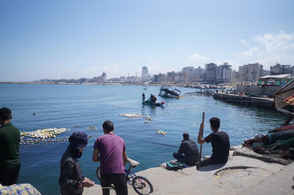 <p>Dok zvanični Izrael procjenjuje da je najmanje polovina, od više od 50.000 stradalih u Gazi, povezana s Hamasom, palestinski novinar Hamed Sbeata poručuje da ta država ratuje protiv civila...</p>  <p>Portparol vojske Izraela odbacuje optužbe za genocid, navodeći da je odnos između broja civila i ubijenih boraca Hamasa “najniži u istoriji ratovanja”</p>  <p>Reporter “Vijesti” čuo granatiranje Gaze, dok je intervjuisao djevojku koja je preživjela napad Hamasa...</p>