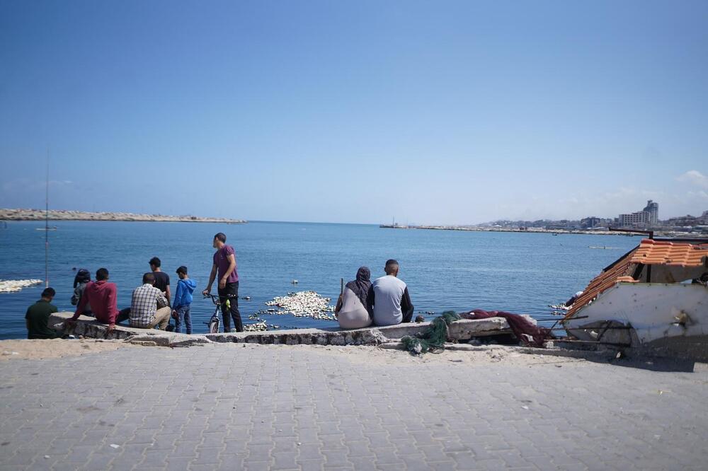 <p>Dok zvanični Izrael procjenjuje da je najmanje polovina, od više od 50.000 stradalih u Gazi, povezana s Hamasom, palestinski novinar Hamed Sbeata poručuje da ta država ratuje protiv civila...</p>  <p>Portparol vojske Izraela odbacuje optužbe za genocid, navodeći da je odnos između broja civila i ubijenih boraca Hamasa “najniži u istoriji ratovanja”</p>  <p>Reporter “Vijesti” čuo granatiranje Gaze, dok je intervjuisao djevojku koja je preživjela napad Hamasa...</p>