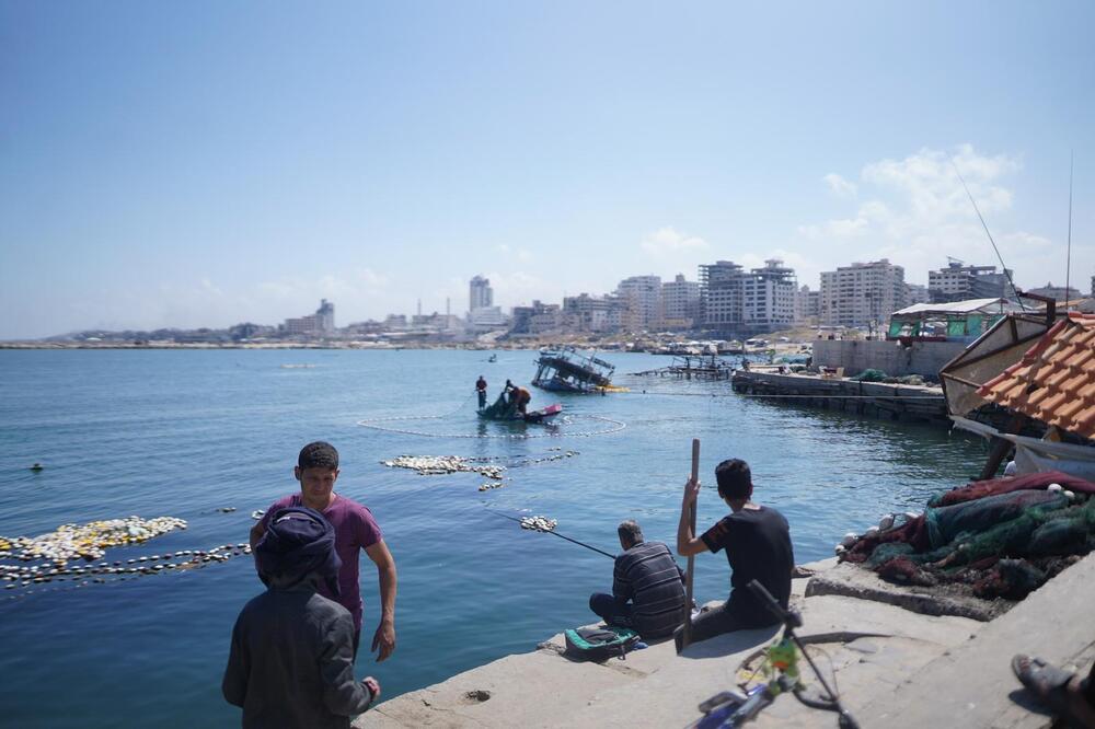 <p>Dok zvanični Izrael procjenjuje da je najmanje polovina, od više od 50.000 stradalih u Gazi, povezana s Hamasom, palestinski novinar Hamed Sbeata poručuje da ta država ratuje protiv civila...</p>  <p>Portparol vojske Izraela odbacuje optužbe za genocid, navodeći da je odnos između broja civila i ubijenih boraca Hamasa “najniži u istoriji ratovanja”</p>  <p>Reporter “Vijesti” čuo granatiranje Gaze, dok je intervjuisao djevojku koja je preživjela napad Hamasa...</p>