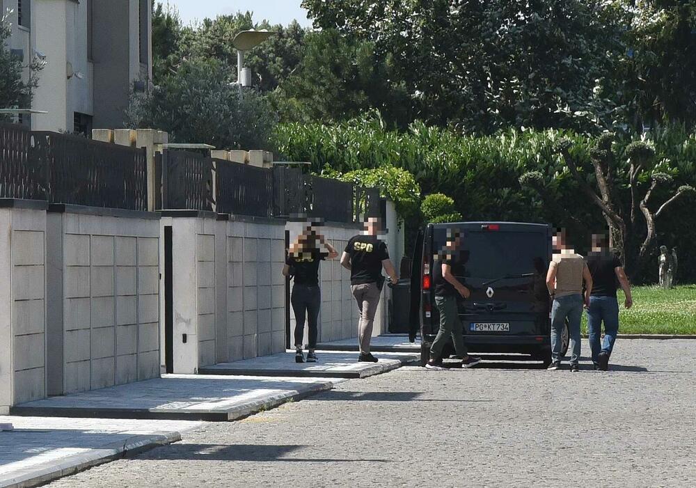 <p>U jutrošnjoj akciji uhapšeni i Dejan Milić, Radoje Dakić, Mileta Simanić i Adnan Suković;</p>  <p>SPO je tokom popodneva uhapsio i vlasnika firme "MP Šped Trans" Predraga Madžgalja, koja se bavi drumskim prevozom tereta.</p>