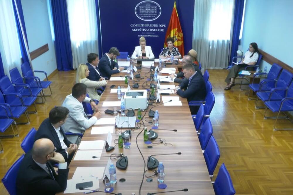 Foto: Skupština Crne Gore/Youtube
