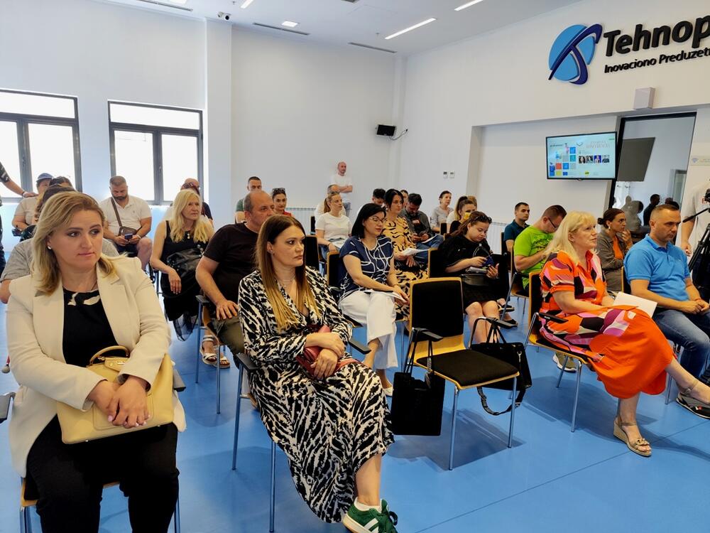 Nikšić, NVO Mozaik