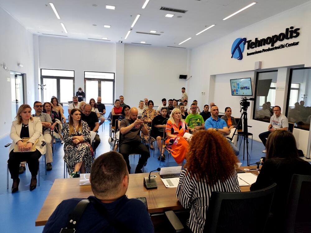 Nikšić, NVO Mozaik