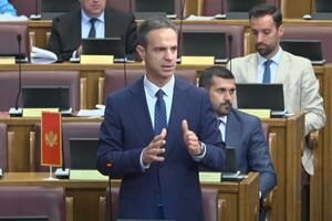 Mugoša: Skupština nije Mandićeva privatna firma, niti je Vlada...