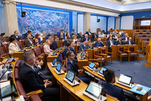 NSD za, DNP uzdržan: Usvojena odluka o upućivanju vojnika u misiju...