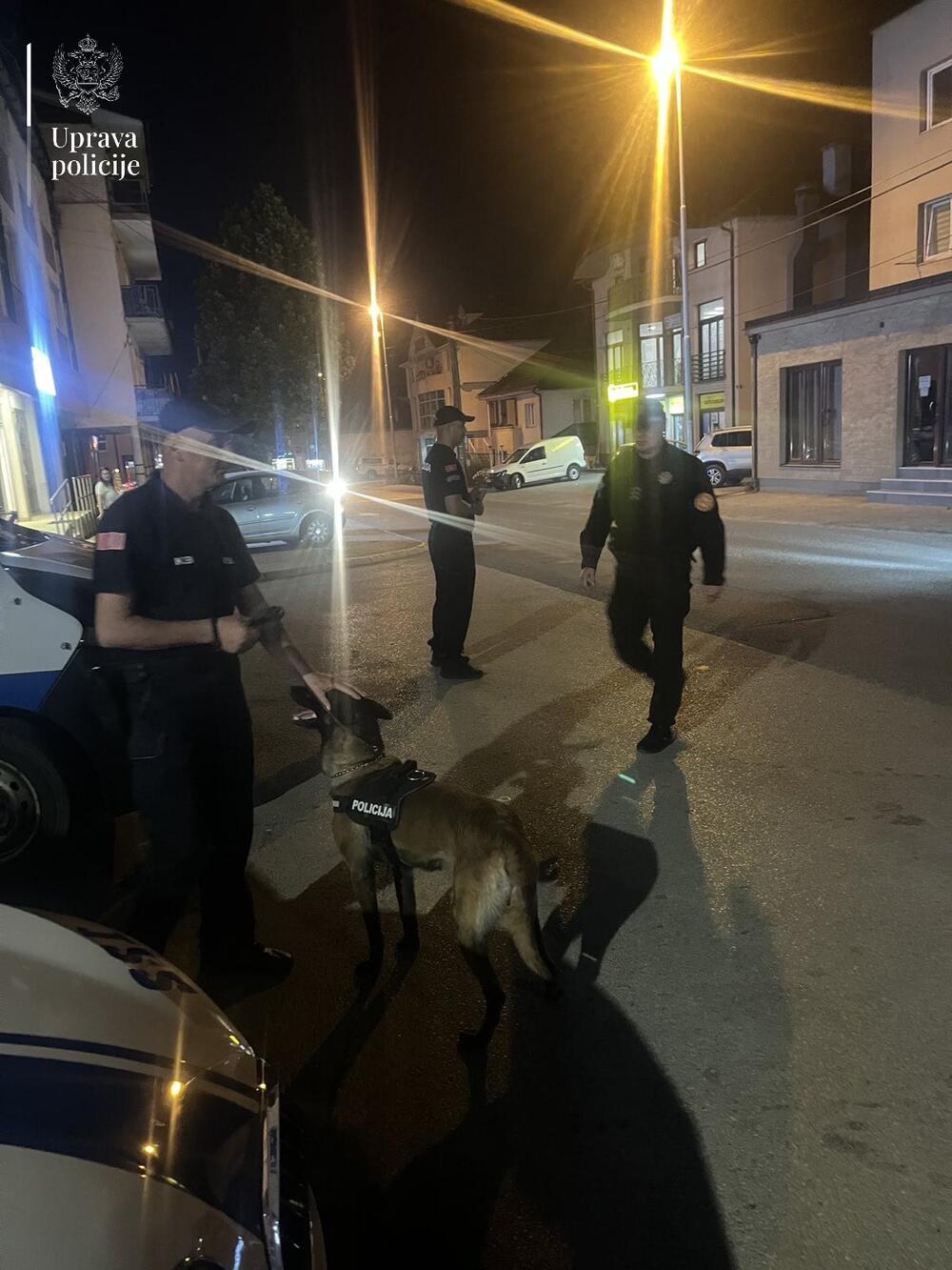 <p>Pronađene puške, municija, oduzeto devet vozila</p>