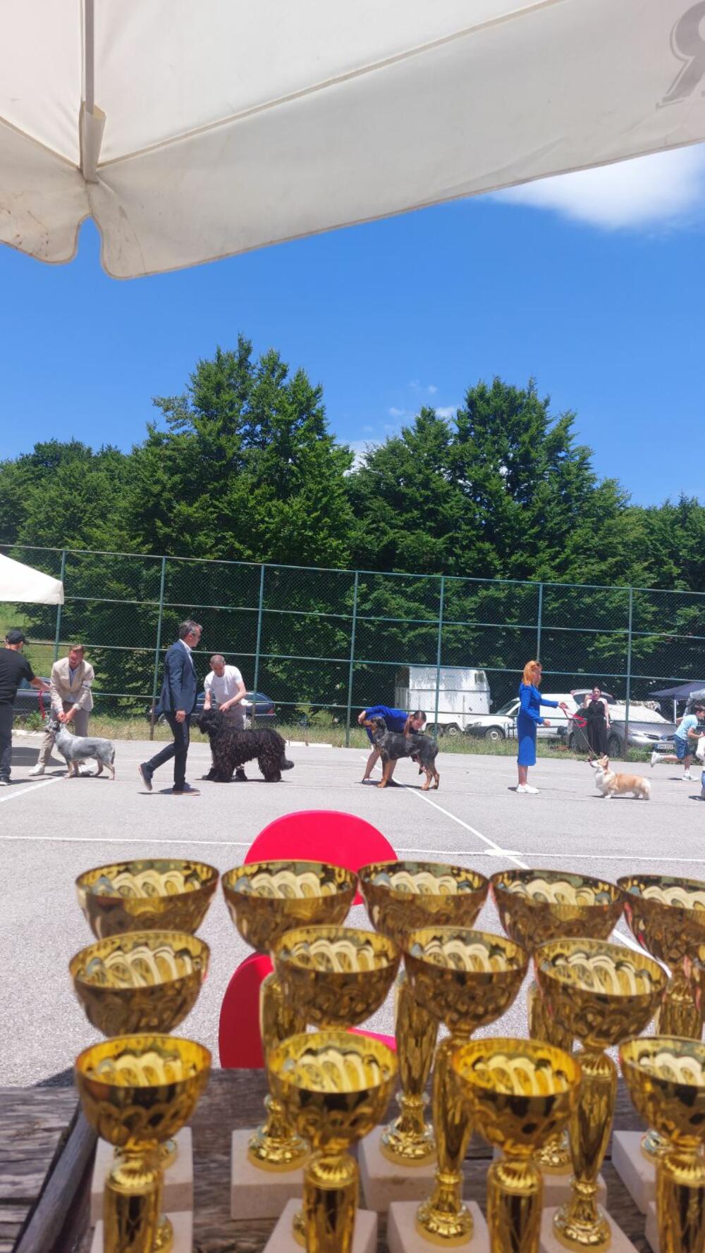 izložba pasa Nikšić