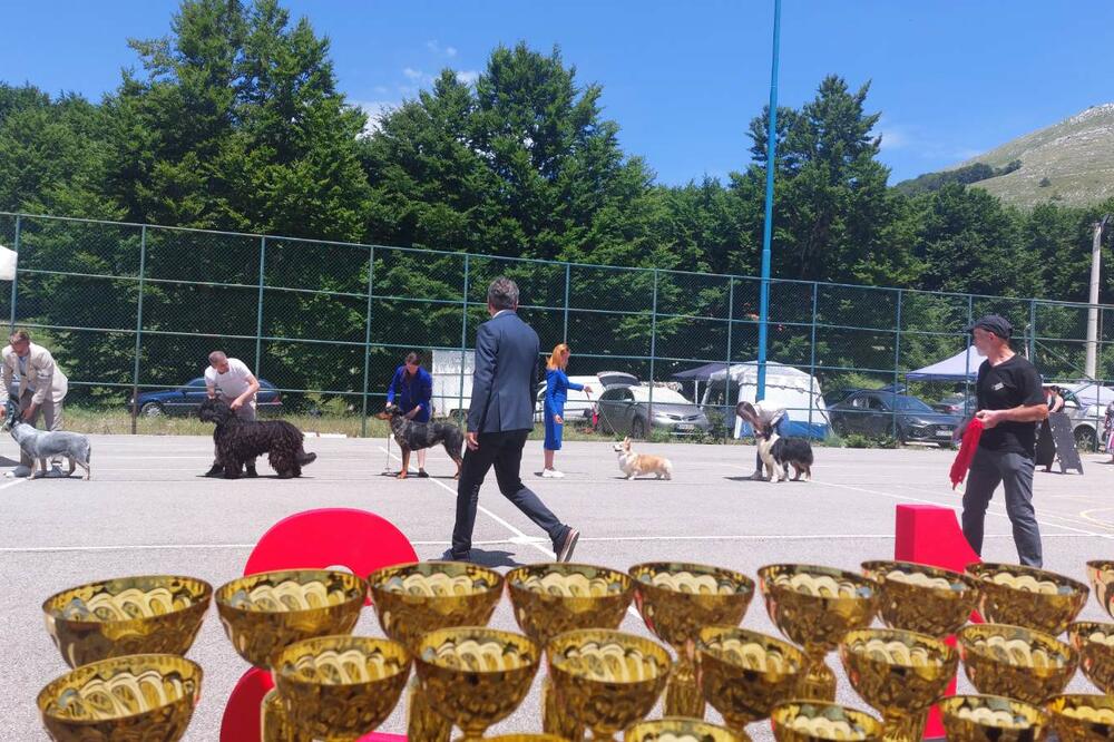 Foto: Privatna arhiva