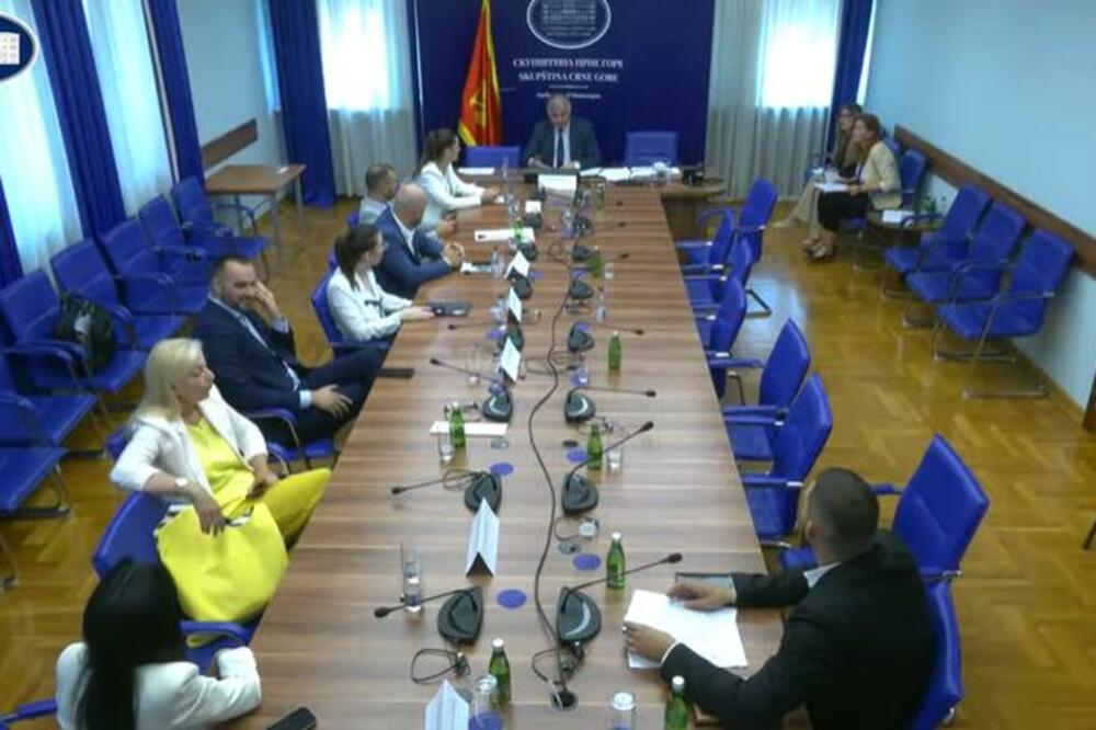 Foto: Skupština Crne Gore/Youtube, Foto: Printscreen YouTube