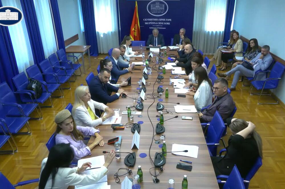 Sa sjednice, Foto: Screenshot/YouTube/Skuština Crne Gore
