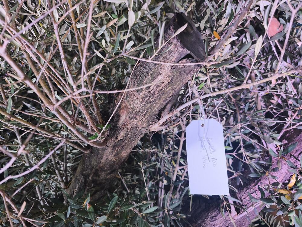 <p>Zvuk i umjetnost koji odjekuju kroz generacije i izložba “Nedovršena”, u Dvorcu Petrovića i Perjaničkom domu u Podgorici... Na posjetiocima je da je dovrše, budu njen dio, “u ovom približno beskrajnom univerzumu”...</p>