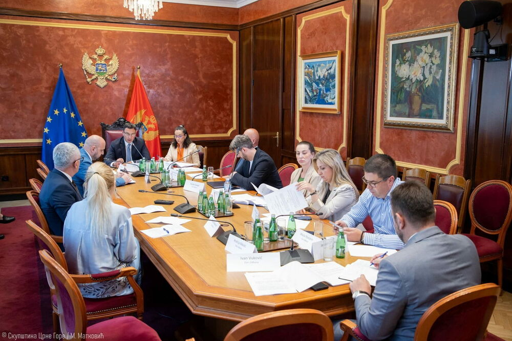 Foto: Skupština Crne Gore/M.Matković