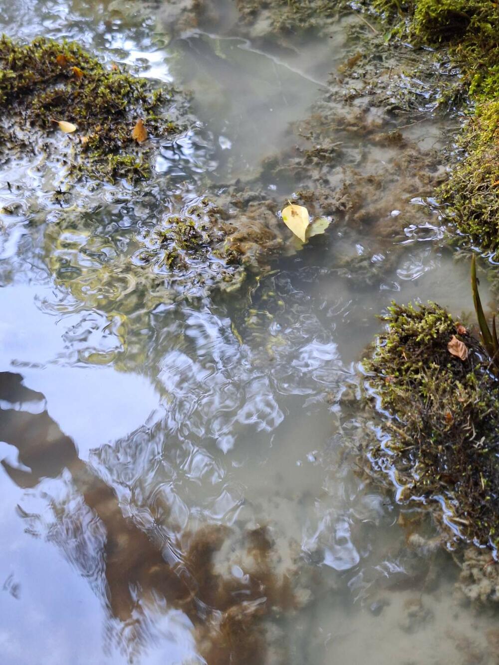 <p>Šljaka i otpadne vode iz Rudnika olova i cinka Šuplja stijena otekle i zamutile izvorište Badanja.</p>  <p>Iz Rudnika tvrde da na to nisu mogli da utiču, a šteta po životnu sredinu biće utvrđena narednih dana</p>