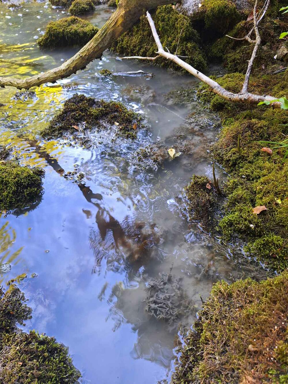 <p>Šljaka i otpadne vode iz Rudnika olova i cinka Šuplja stijena otekle i zamutile izvorište Badanja.</p>  <p>Iz Rudnika tvrde da na to nisu mogli da utiču, a šteta po životnu sredinu biće utvrđena narednih dana</p>