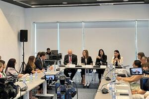 Kazne za seksualno zlostavljanje djece i dalje blizu zakonskog...